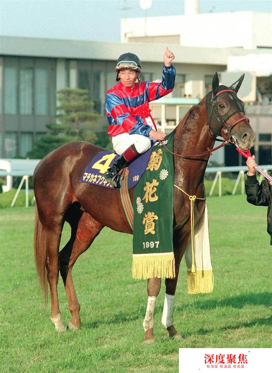 1997年日本一级赛菊花赏冠军赛马26岁高龄衰老离世