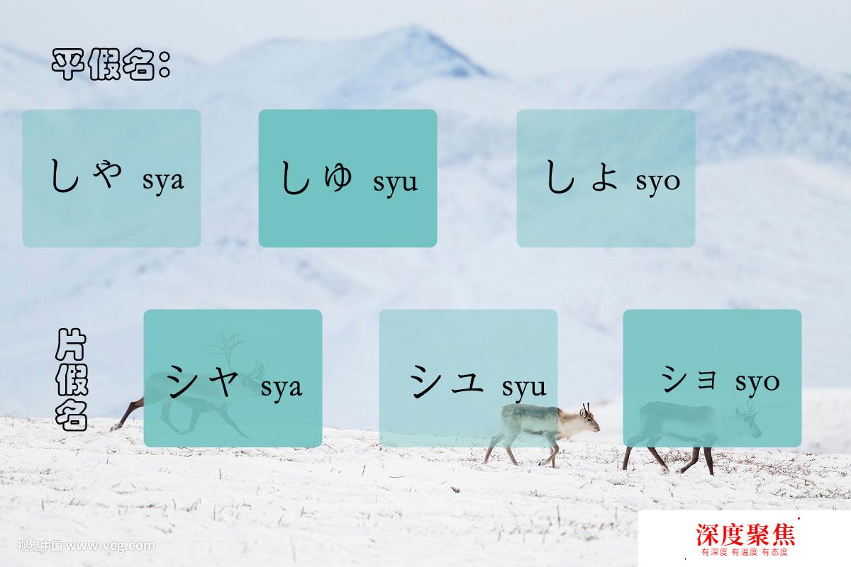 基础日语学习：第十课，日语的语音结构（11）