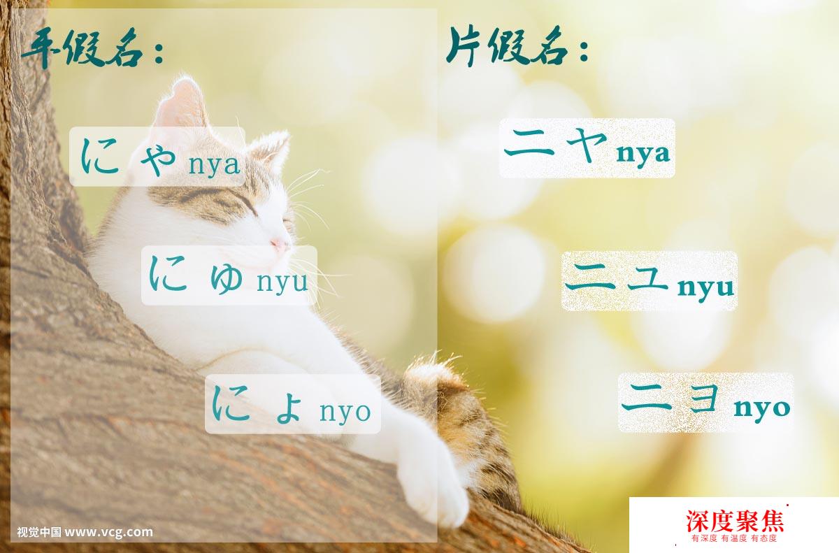基础日语学习：第十课，日语的语音结构（11）