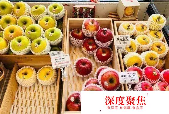 中国水果涨价了？那你知道日本水果有多贵吗