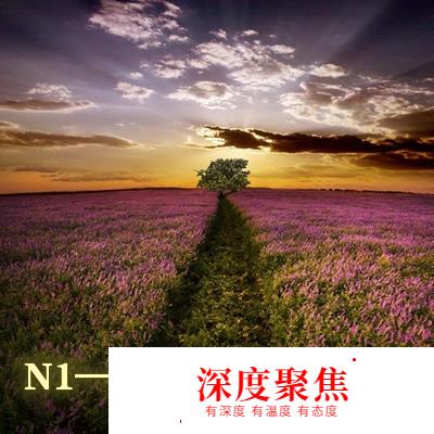 日语能力考N5~N1——我的坚持，我的梦