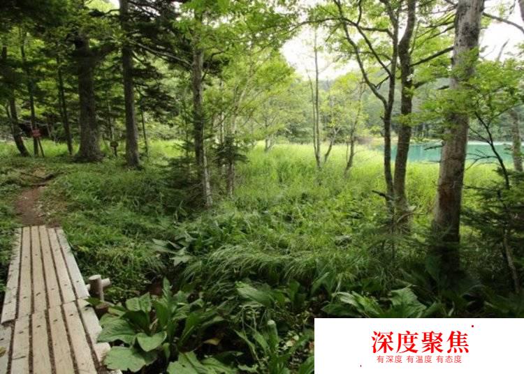 日本北海道的自然秘境——“五色沼”远内多湖的梦幻世界