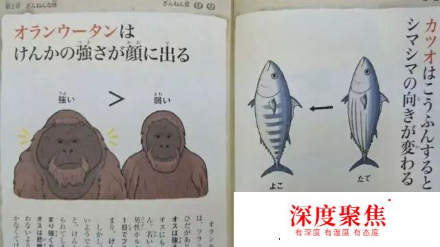 这本日本儿童读物，竟然让大人如此痴迷！看完后一度怀疑人生…