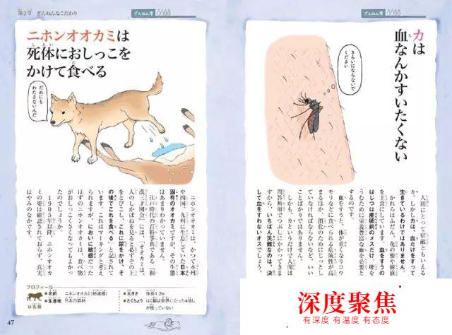 这本日本儿童读物，竟然让大人如此痴迷！看完后一度怀疑人生…