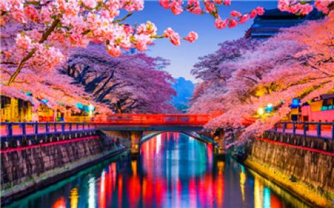 少儿日语在线学习有哪些优势