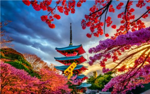 在线少儿日语培训哪个好?